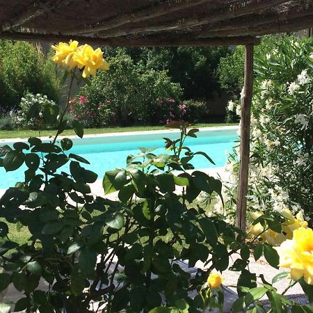 Agriturismo Lupo Vecchio Grosseto Exteriér fotografie