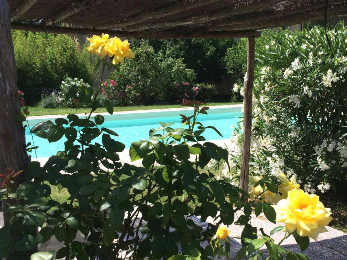 Agriturismo Lupo Vecchio Grosseto Exteriér fotografie