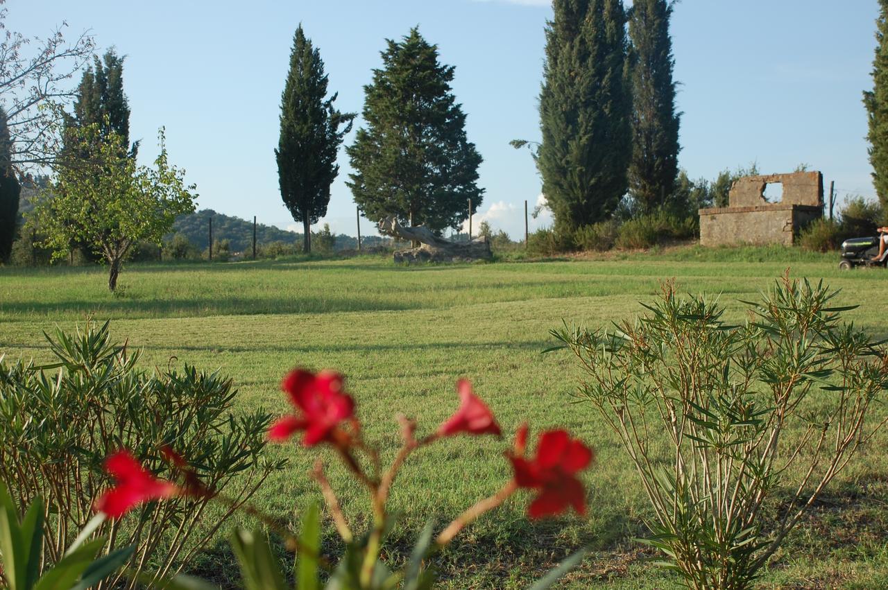 Agriturismo Lupo Vecchio Grosseto Exteriér fotografie