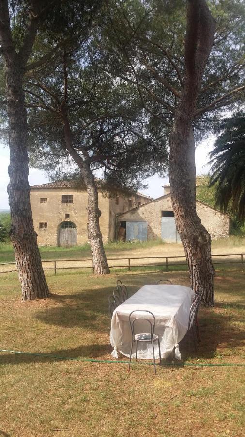 Agriturismo Lupo Vecchio Grosseto Exteriér fotografie